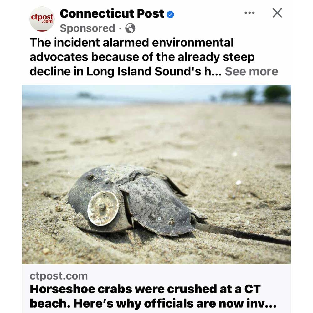 CT Post Instagram promotion featuring kHyal’s efforts to rescue and protect horseshoe crabs at Seaside Park