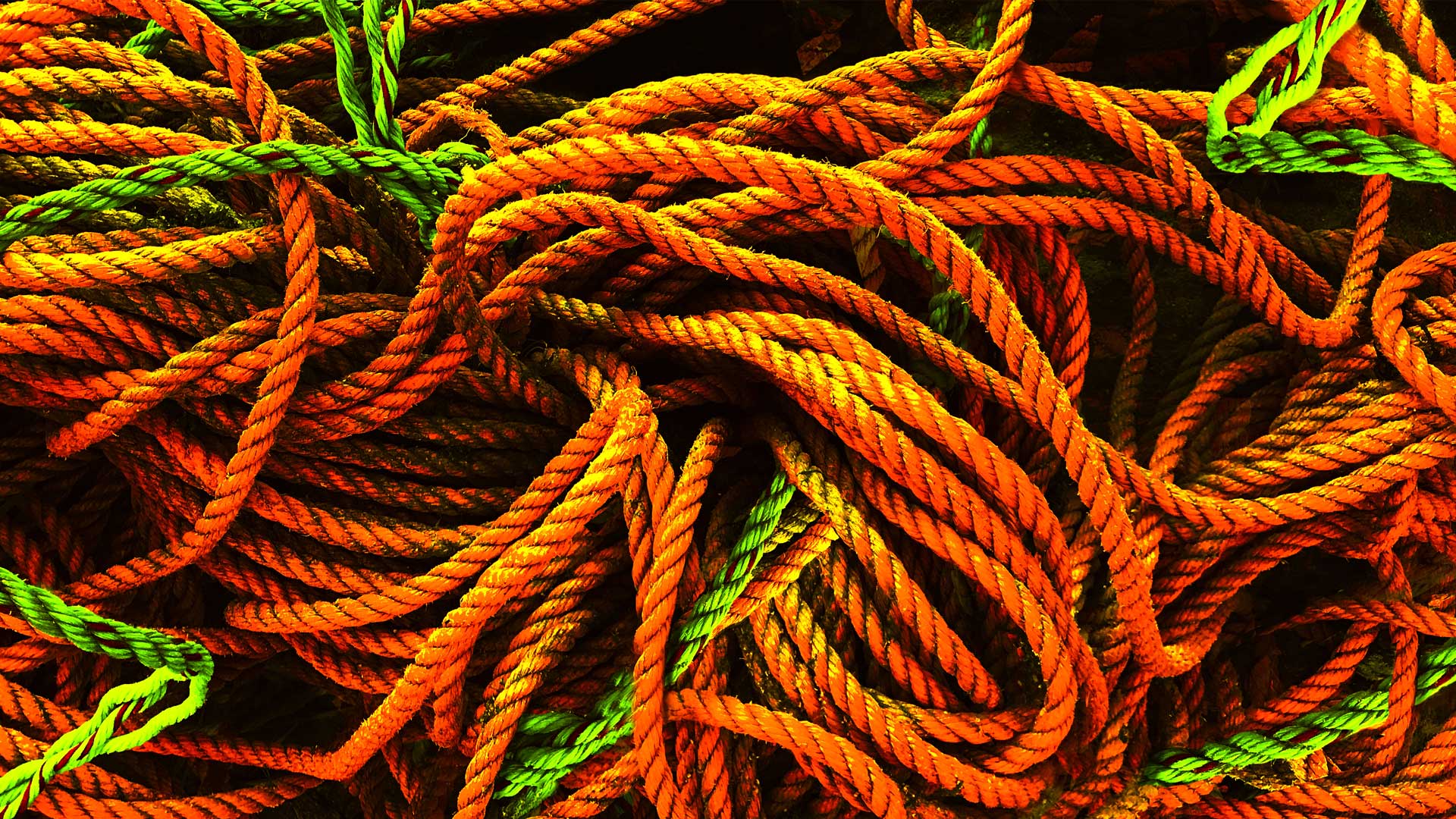 Ghost Net. Photo: ©2022 Karl Heine